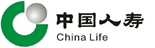 中国人寿：企业级报表系统
