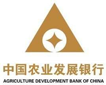 中国农业开展银行：综合报表平台